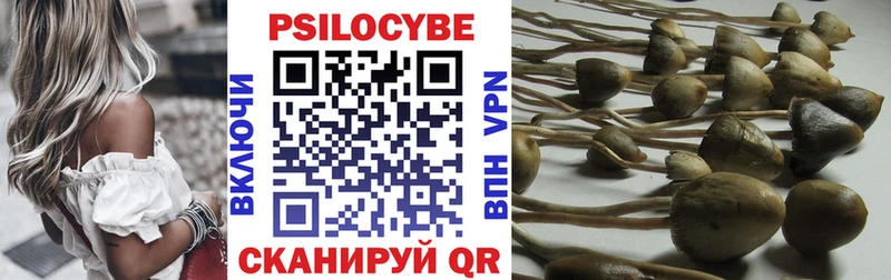 Псилоцибиновые грибы ЛСД Вытегра